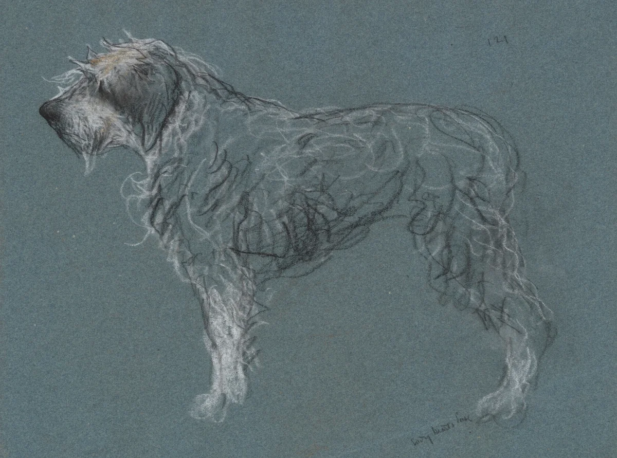 Dogs 12 1