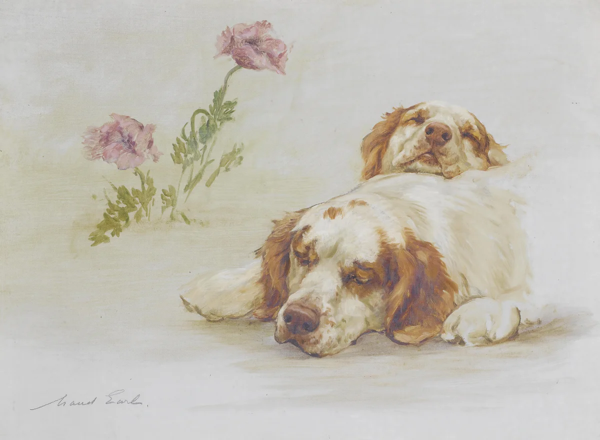 Dogs 114