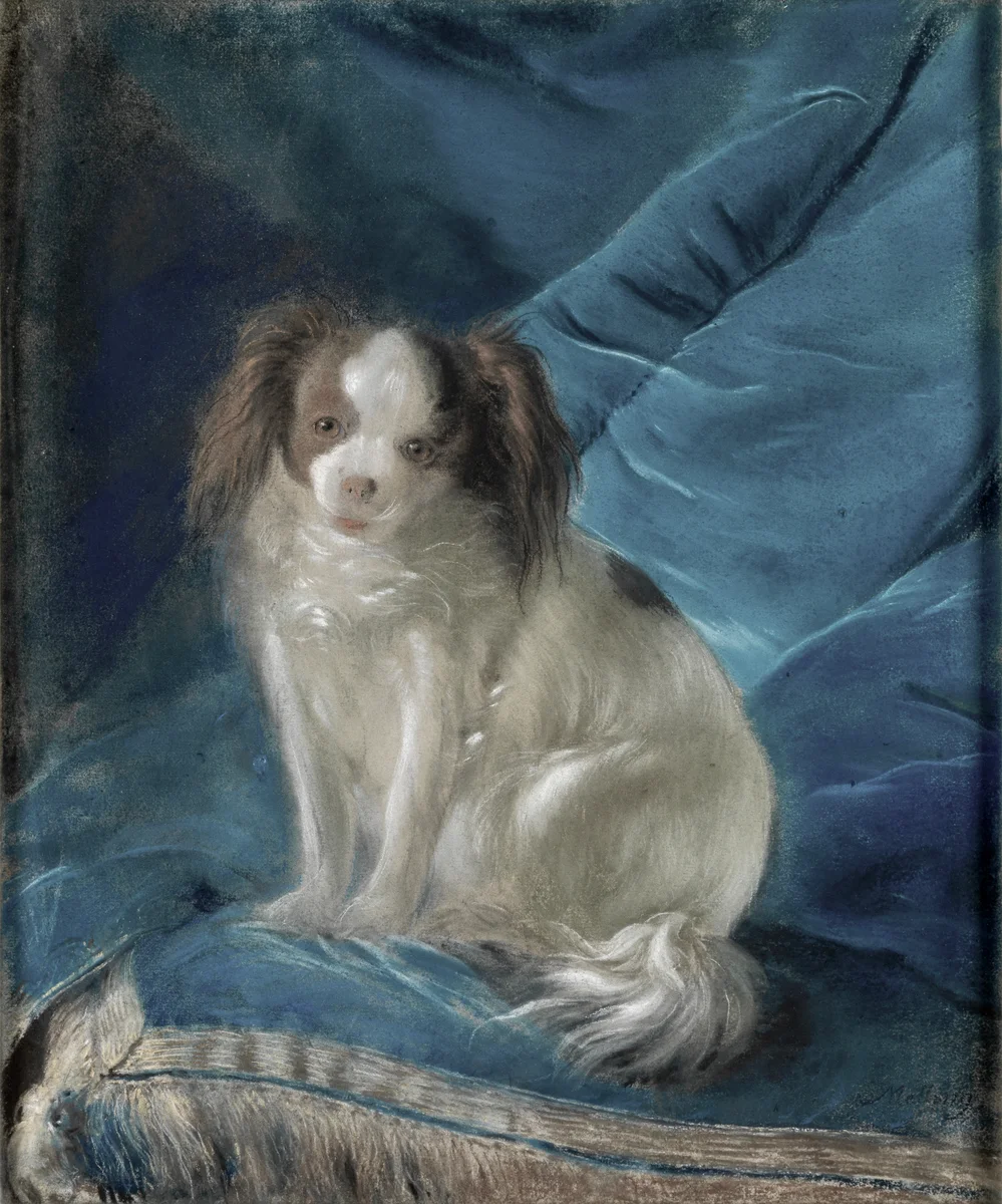Dogs 2 1