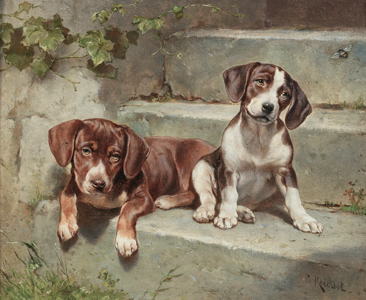 Dogs 2 2