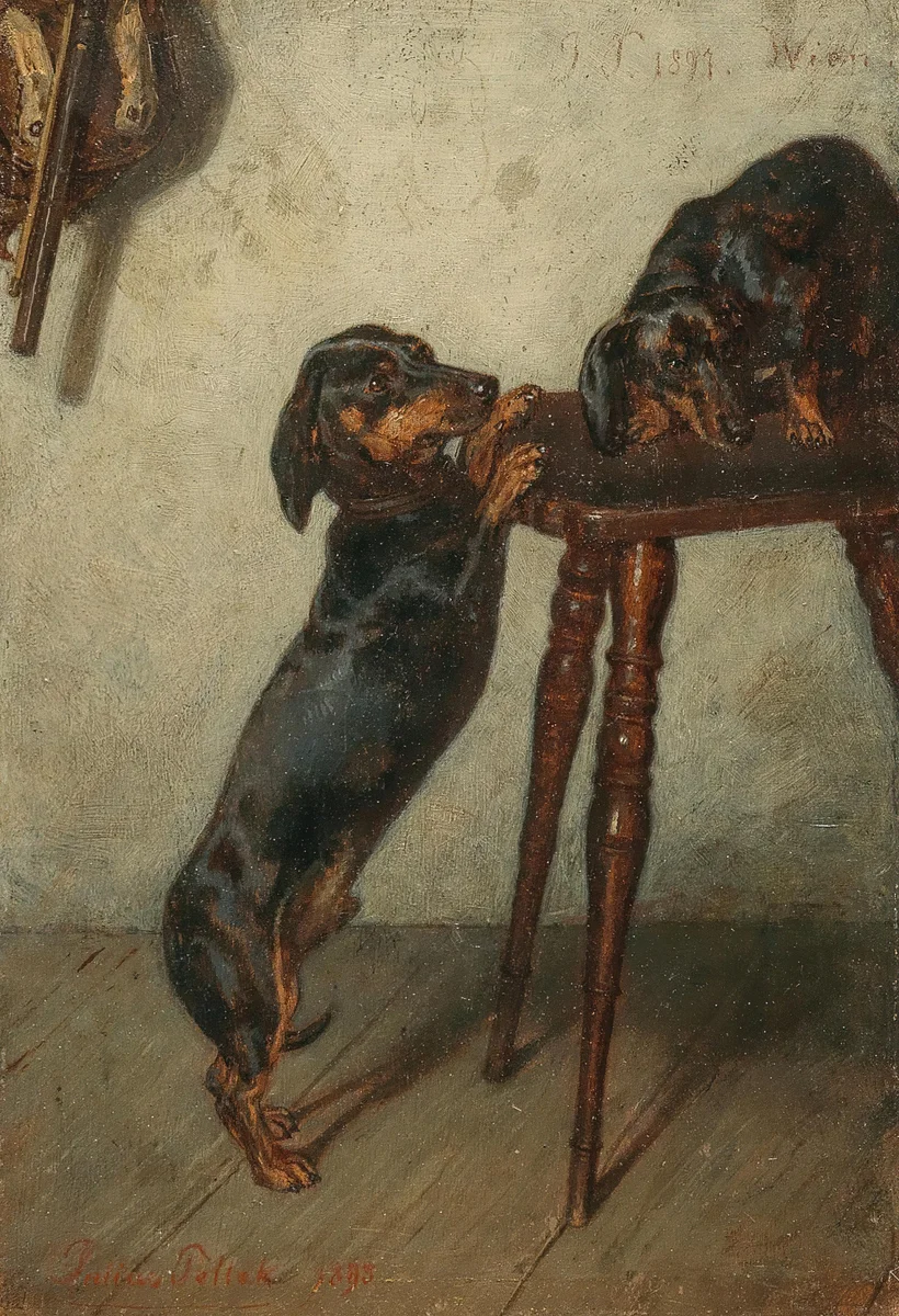 Dogs 2 3