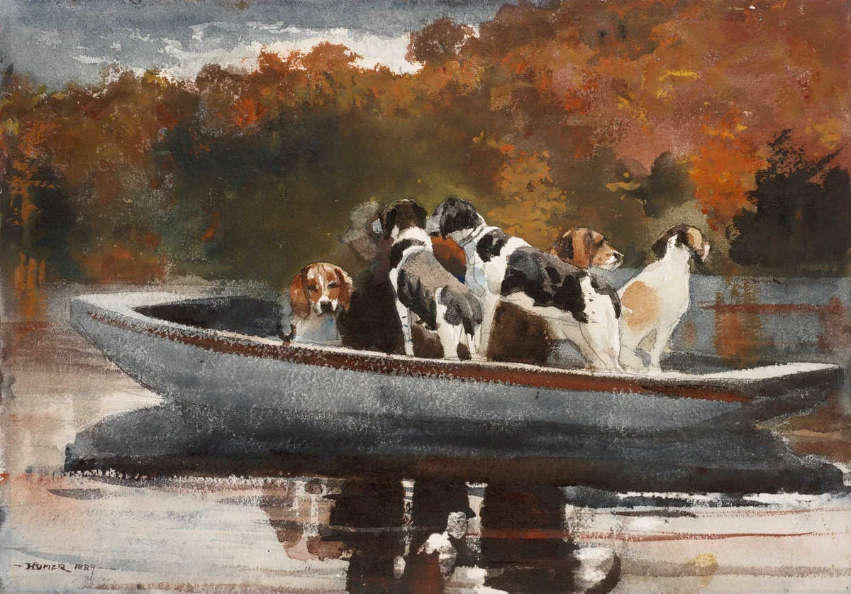 Dogs 2 4
