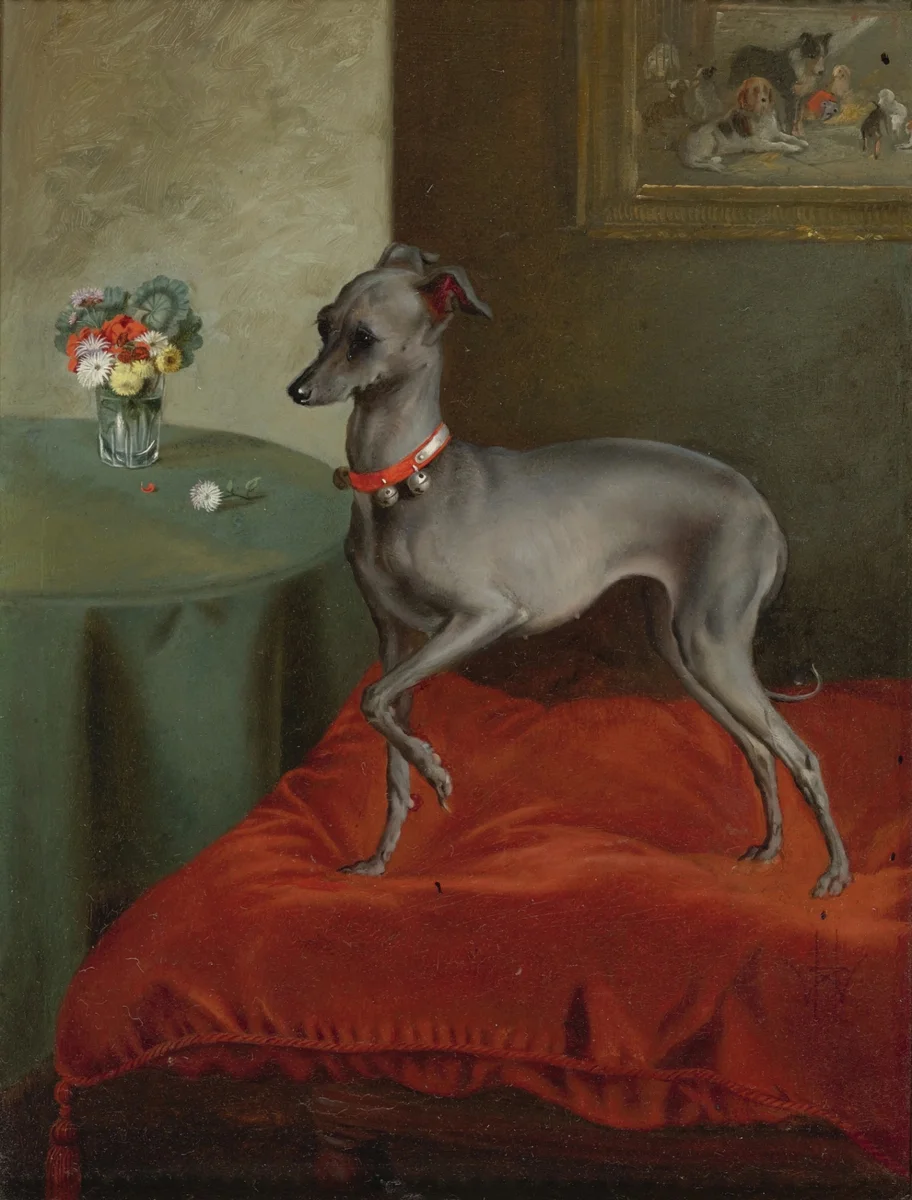 Dogs 3 1