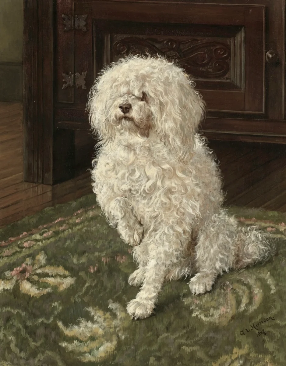 Dogs 3 2