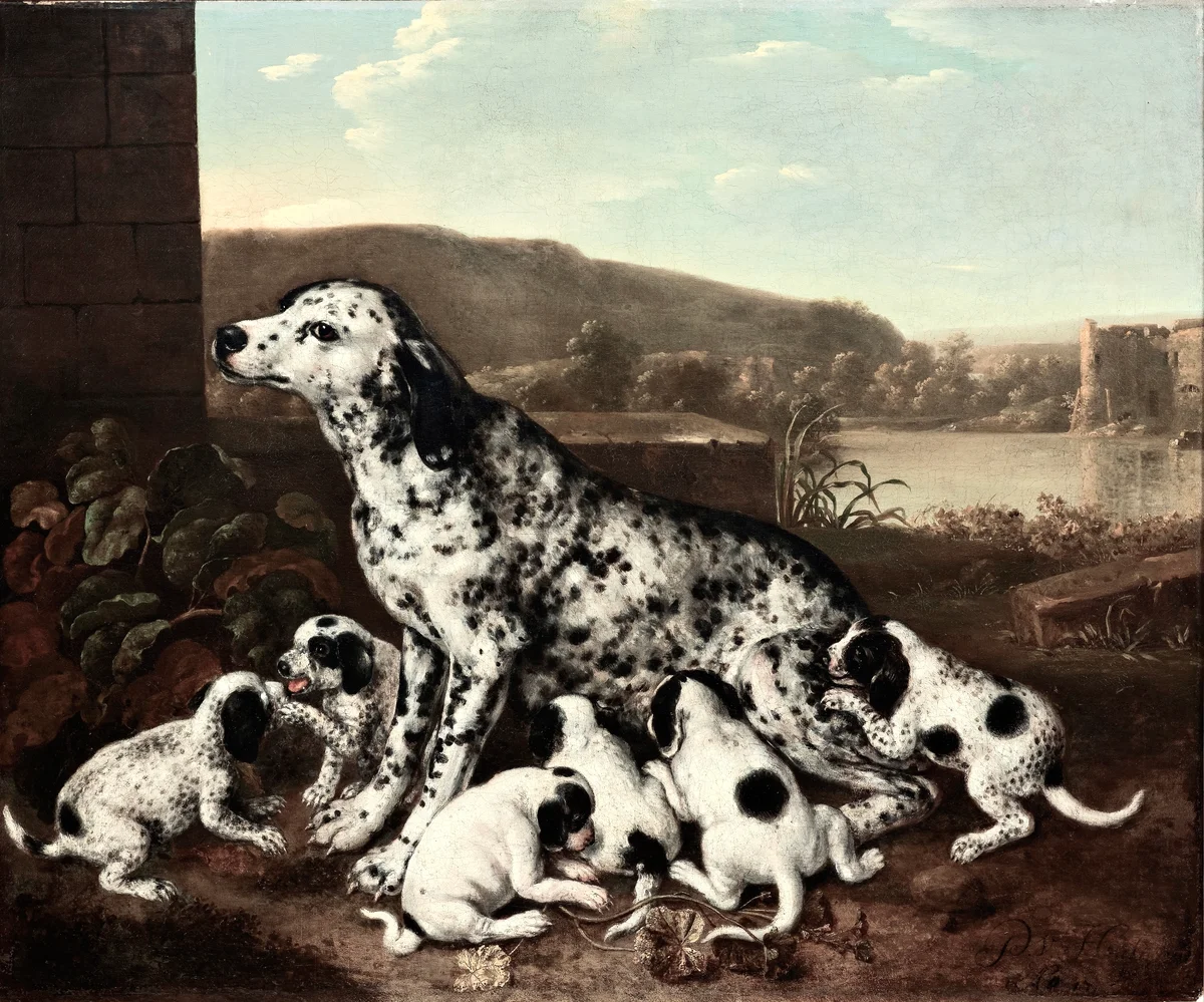 Dogs 3 3