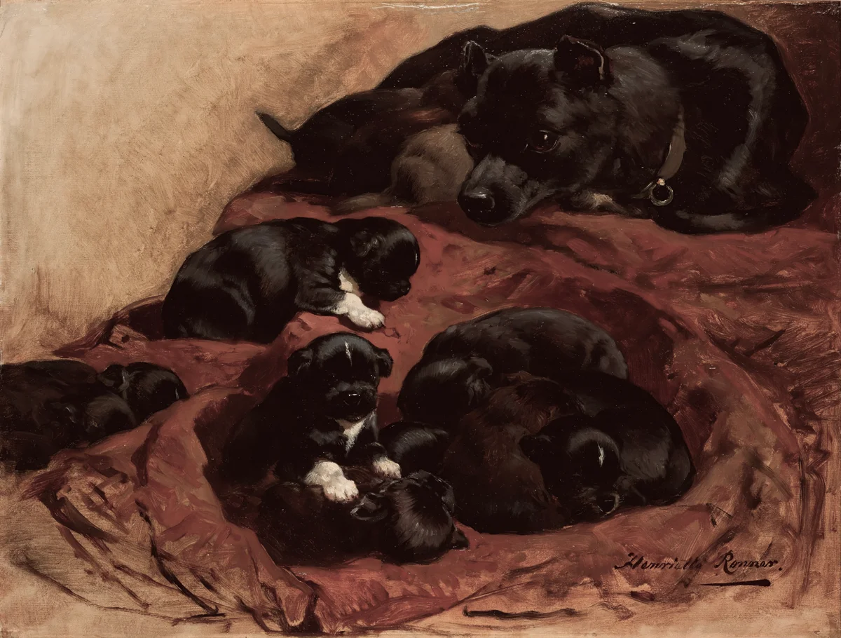 Dogs 3 4