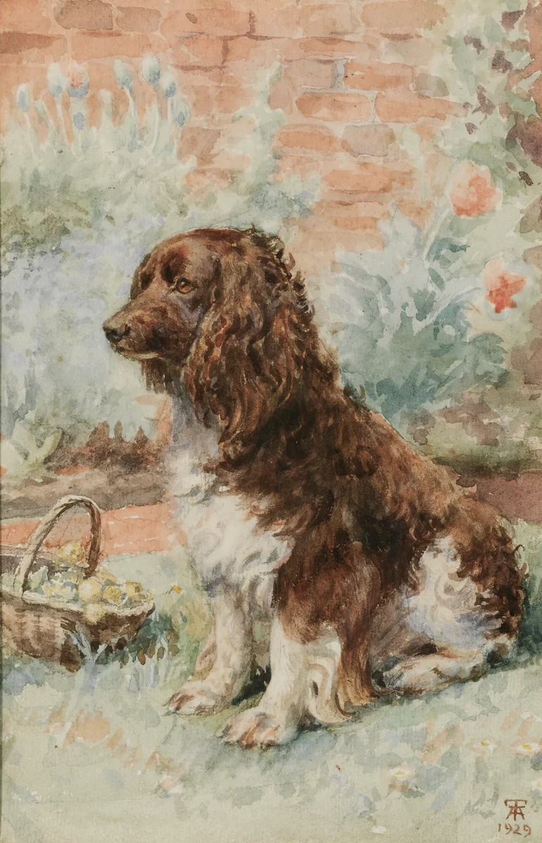 Dogs 3 5