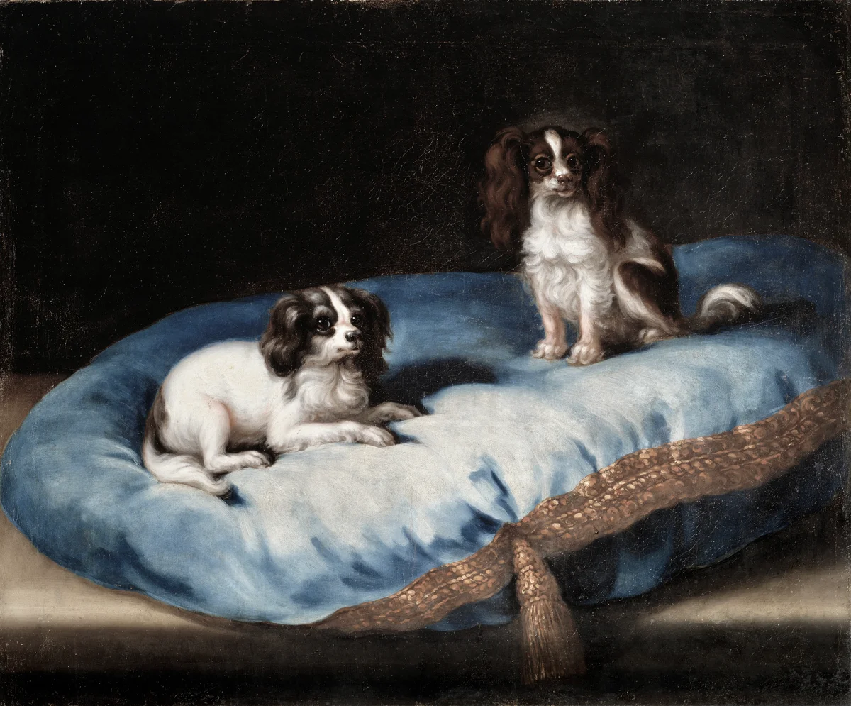 Dogs 5 1