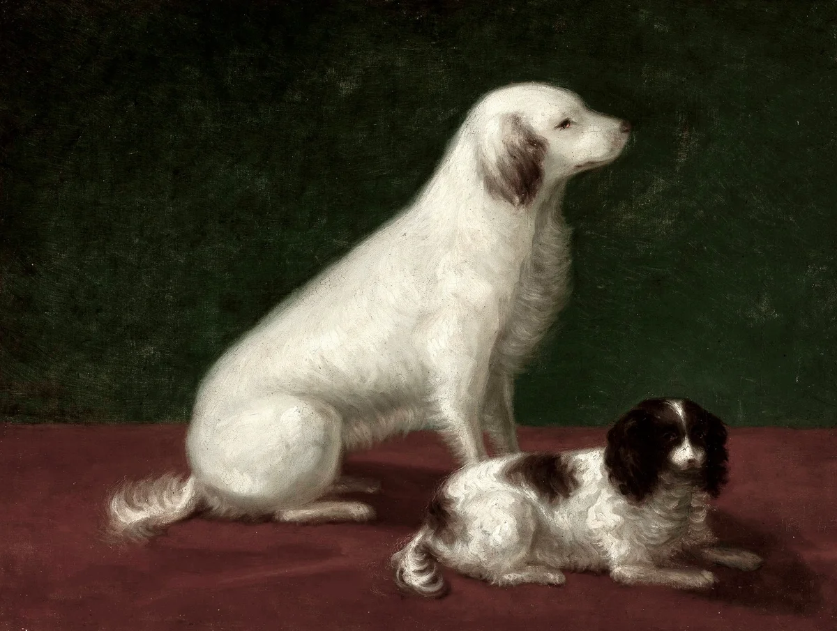 Dogs 5 2