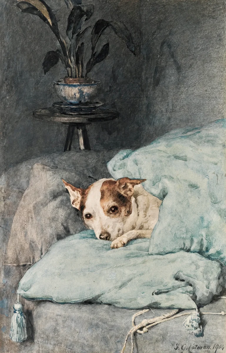 Dogs 10