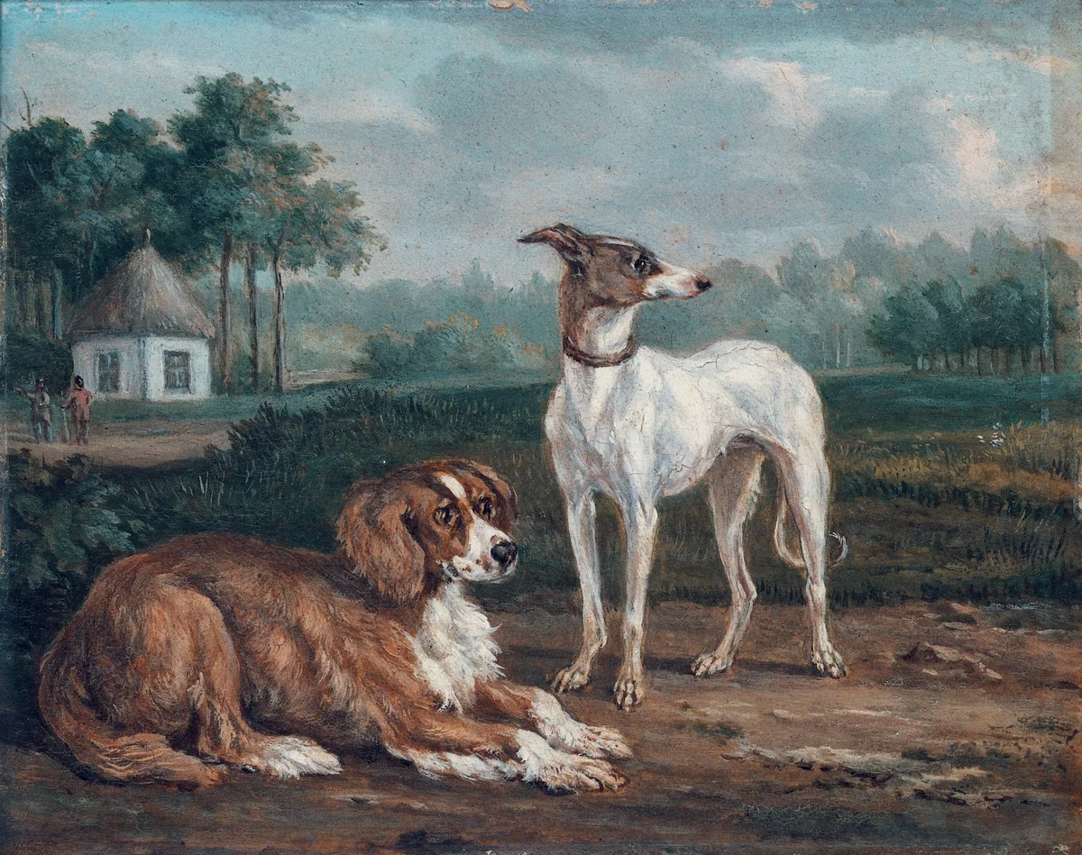 Dogs 14
