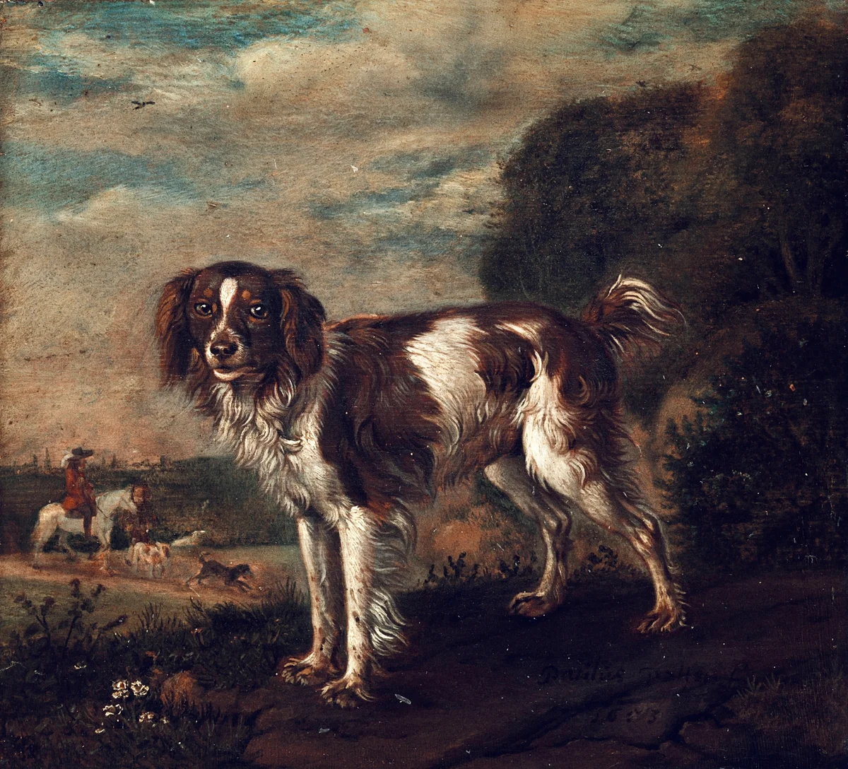Dogs 15