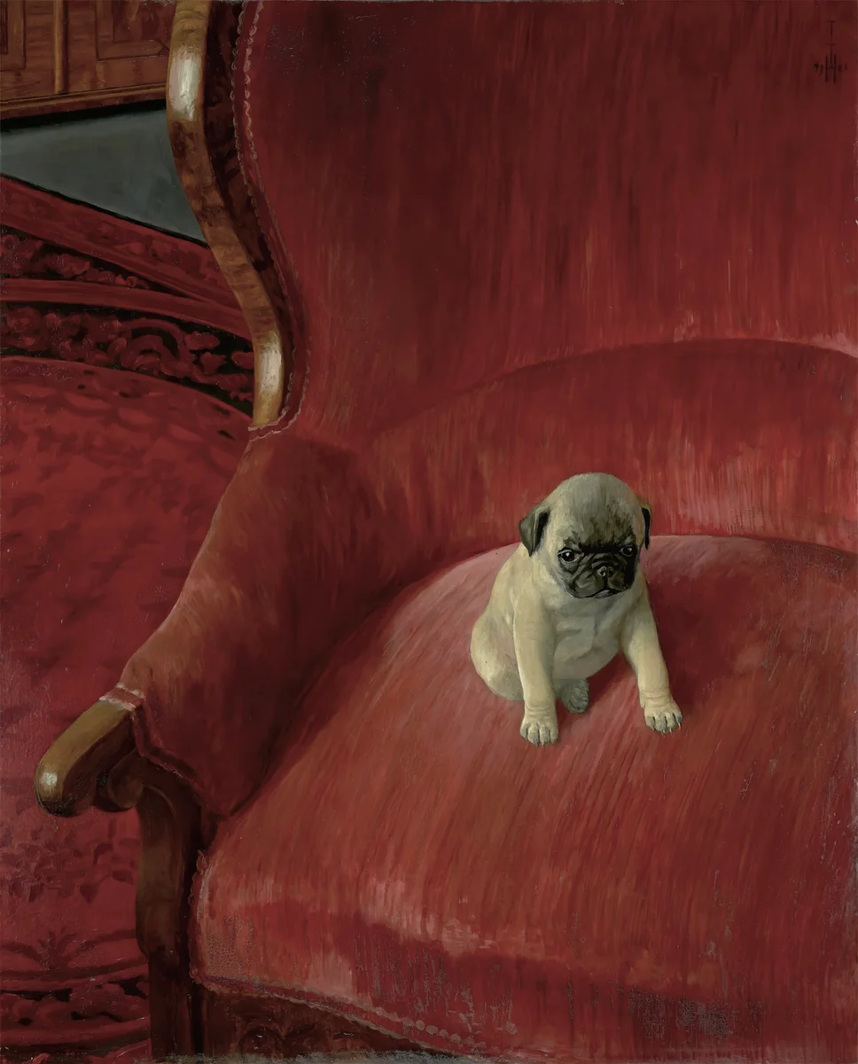 Dogs 17