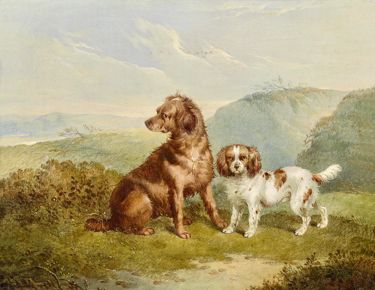 Dogs 18