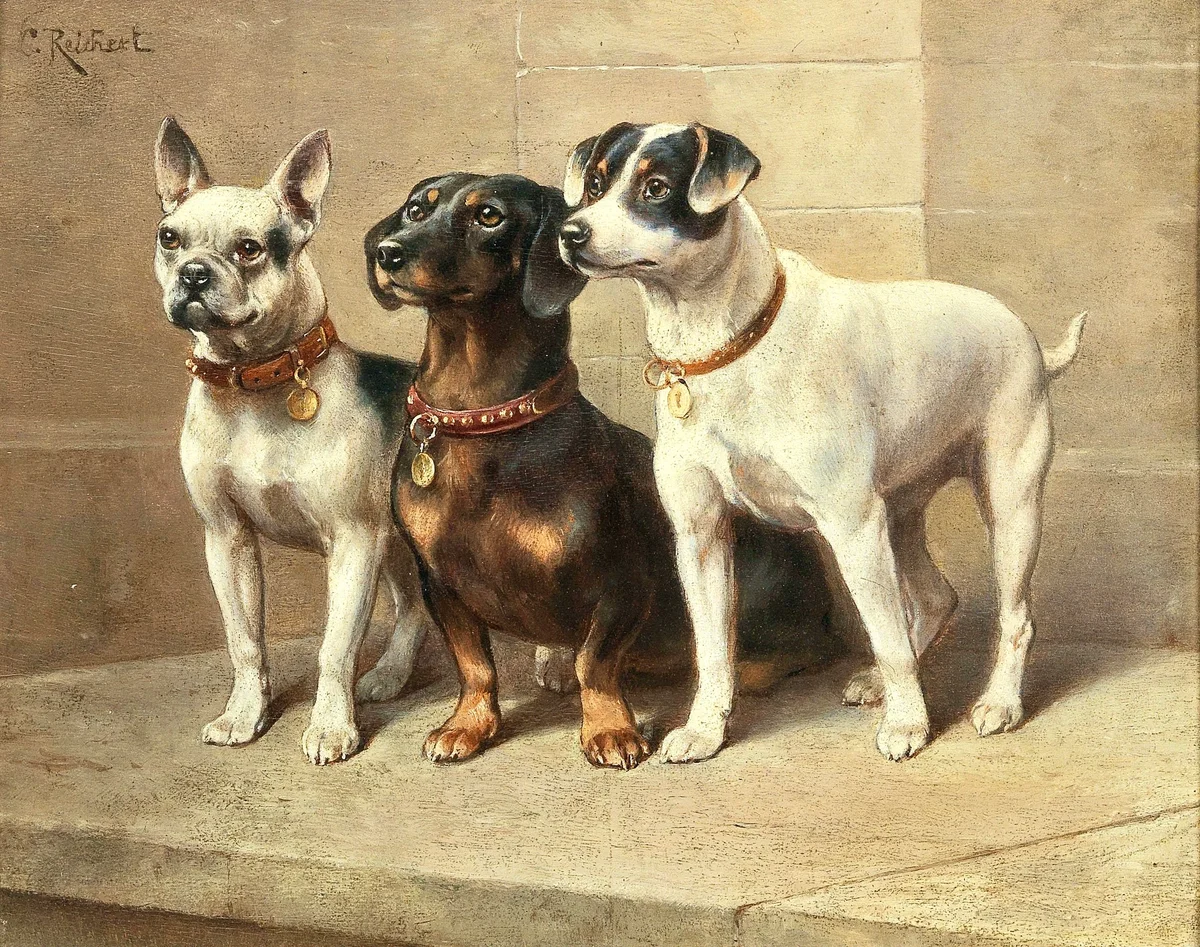 Dogs 2