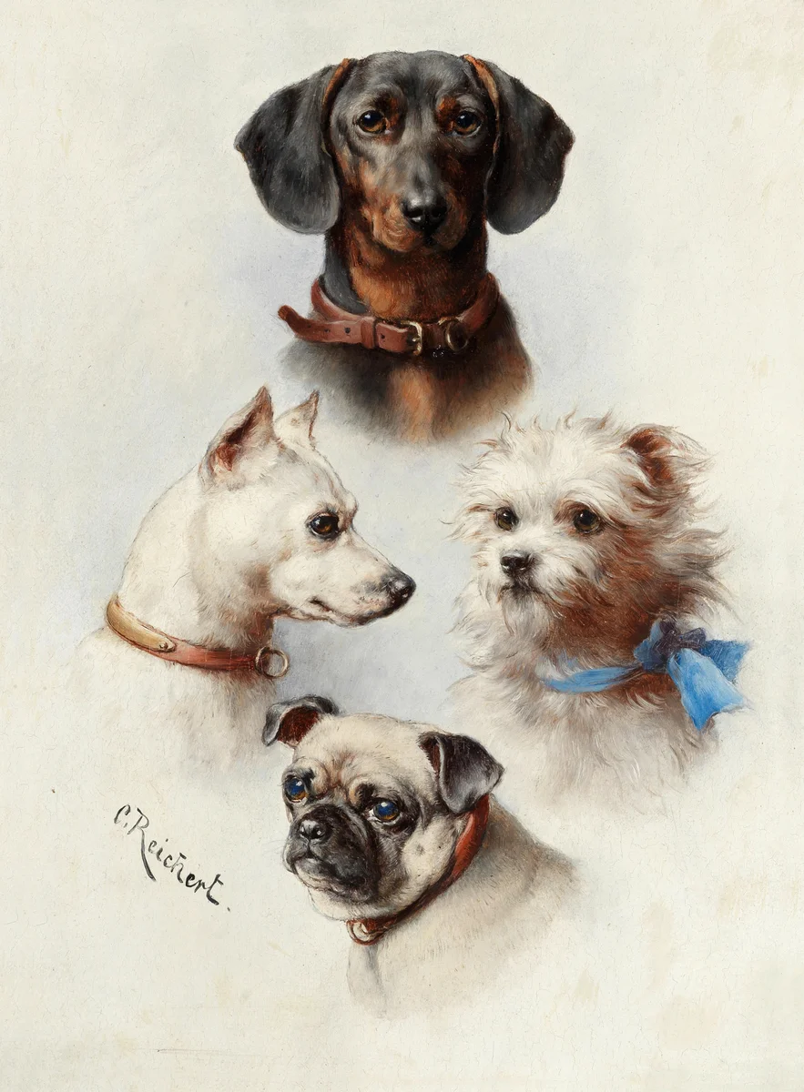 Dogs 5