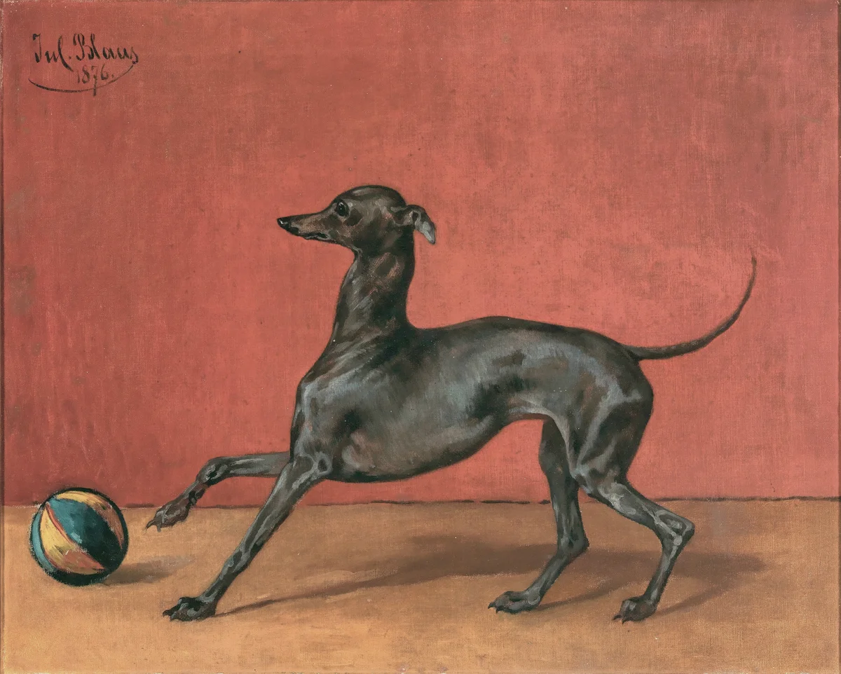 Dogs 6