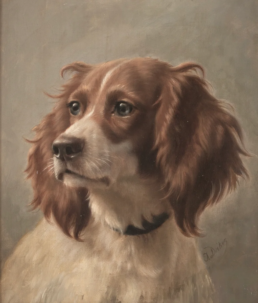 Dogs 8