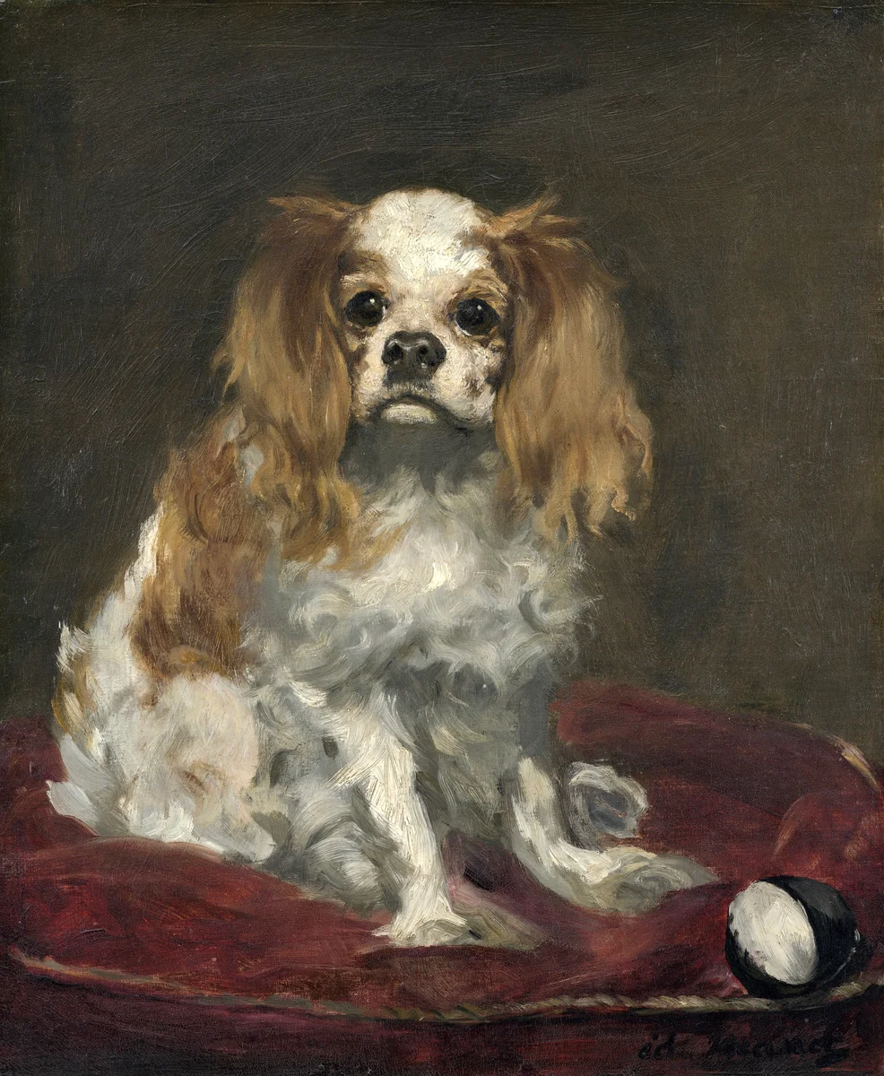 Dogs 7