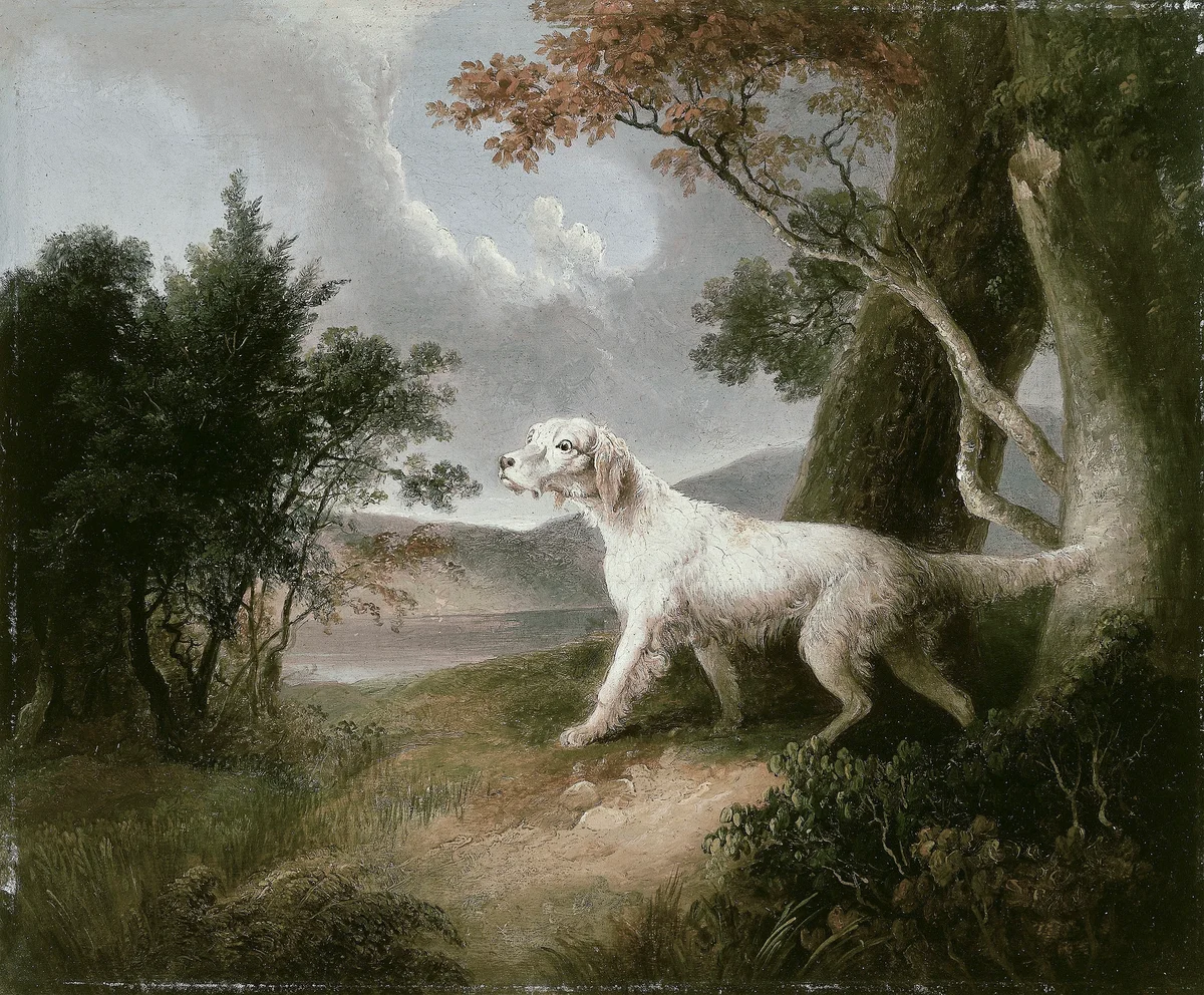 Dogs 9