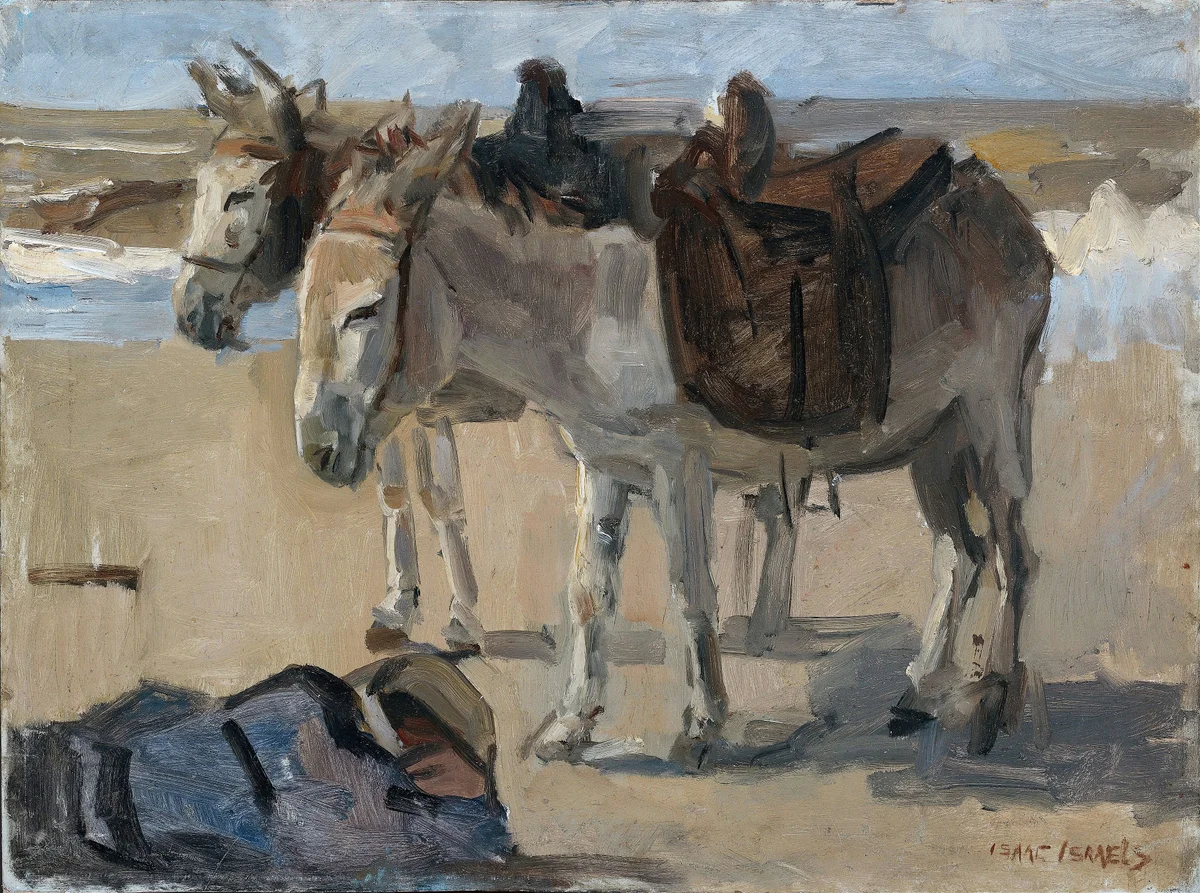 Donkeys 3