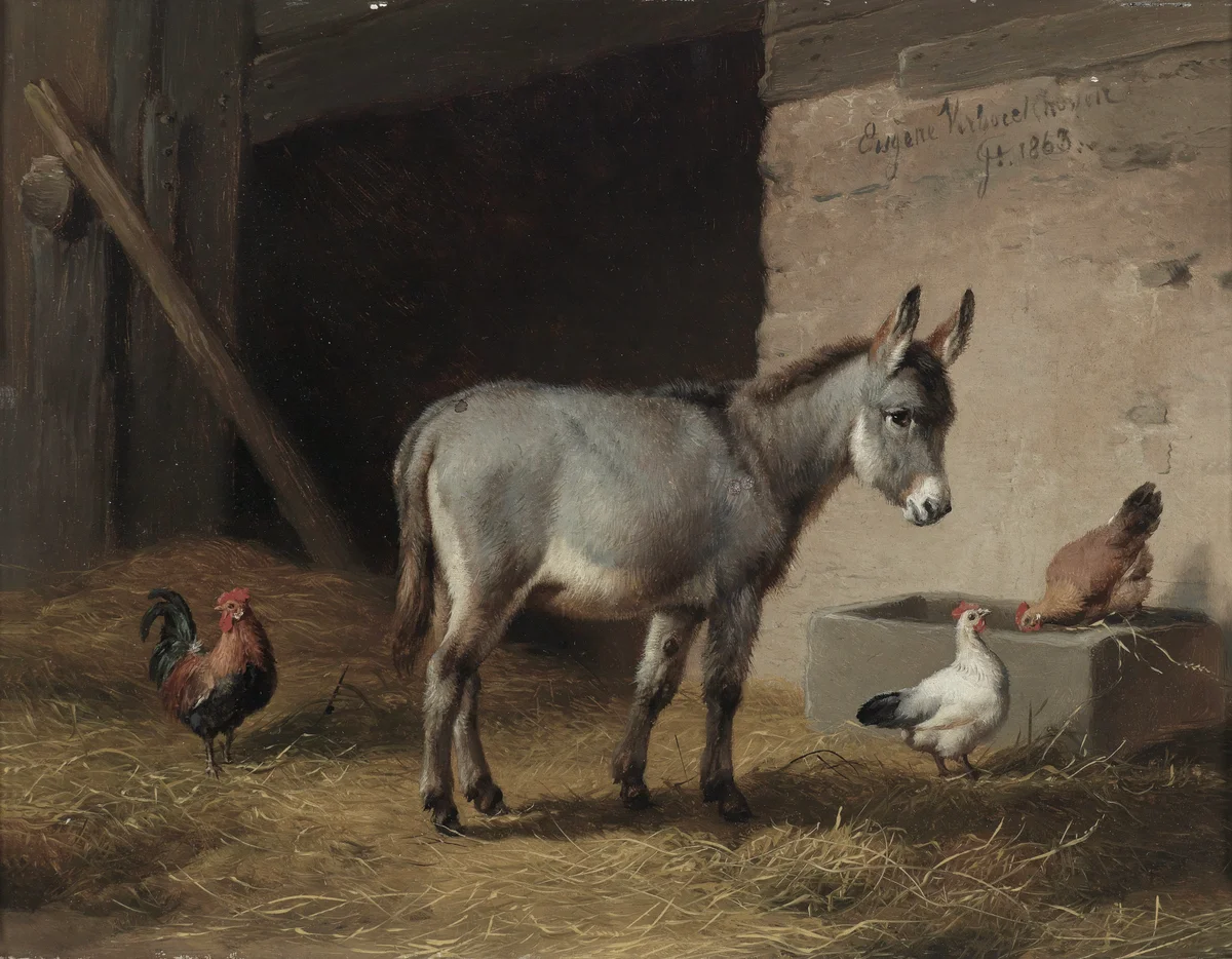 Donkeys 4