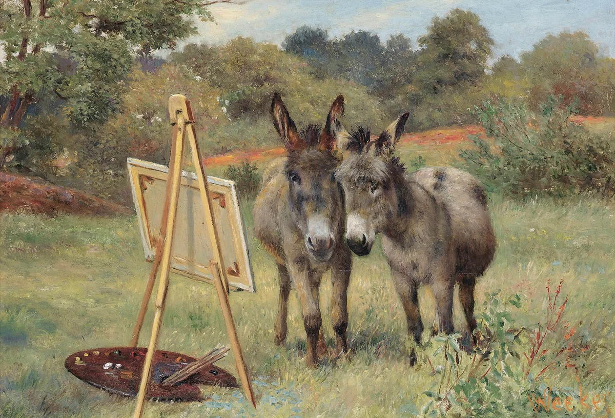 Donkeys 5