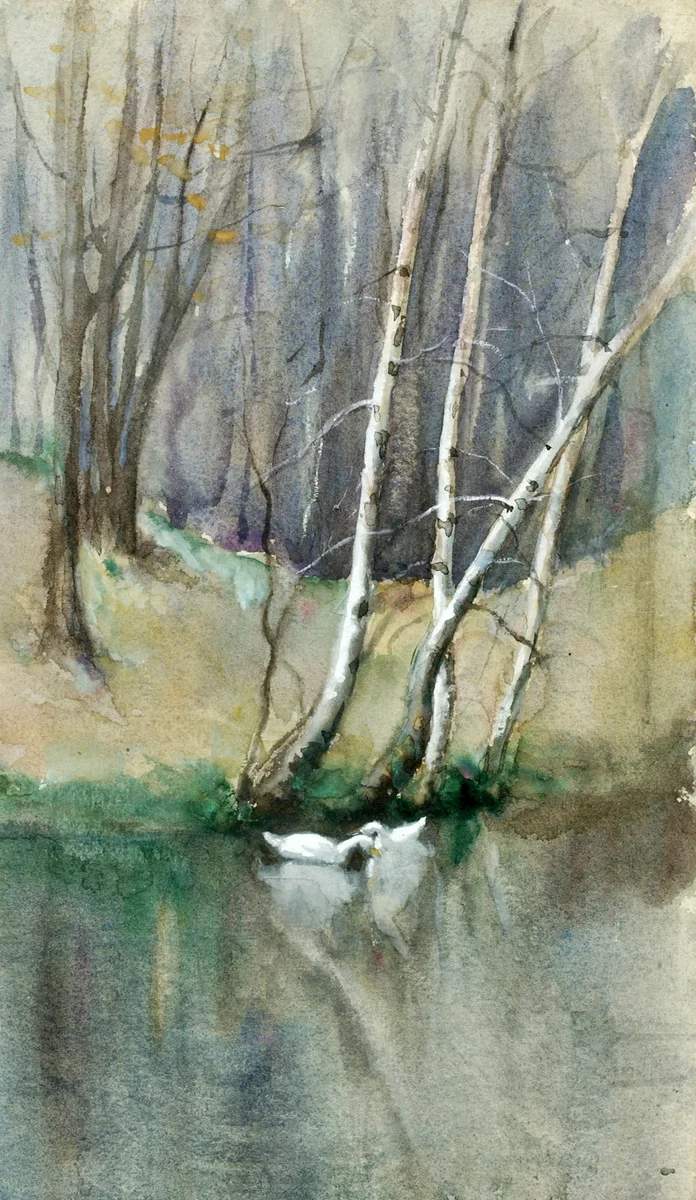 Ducks 2