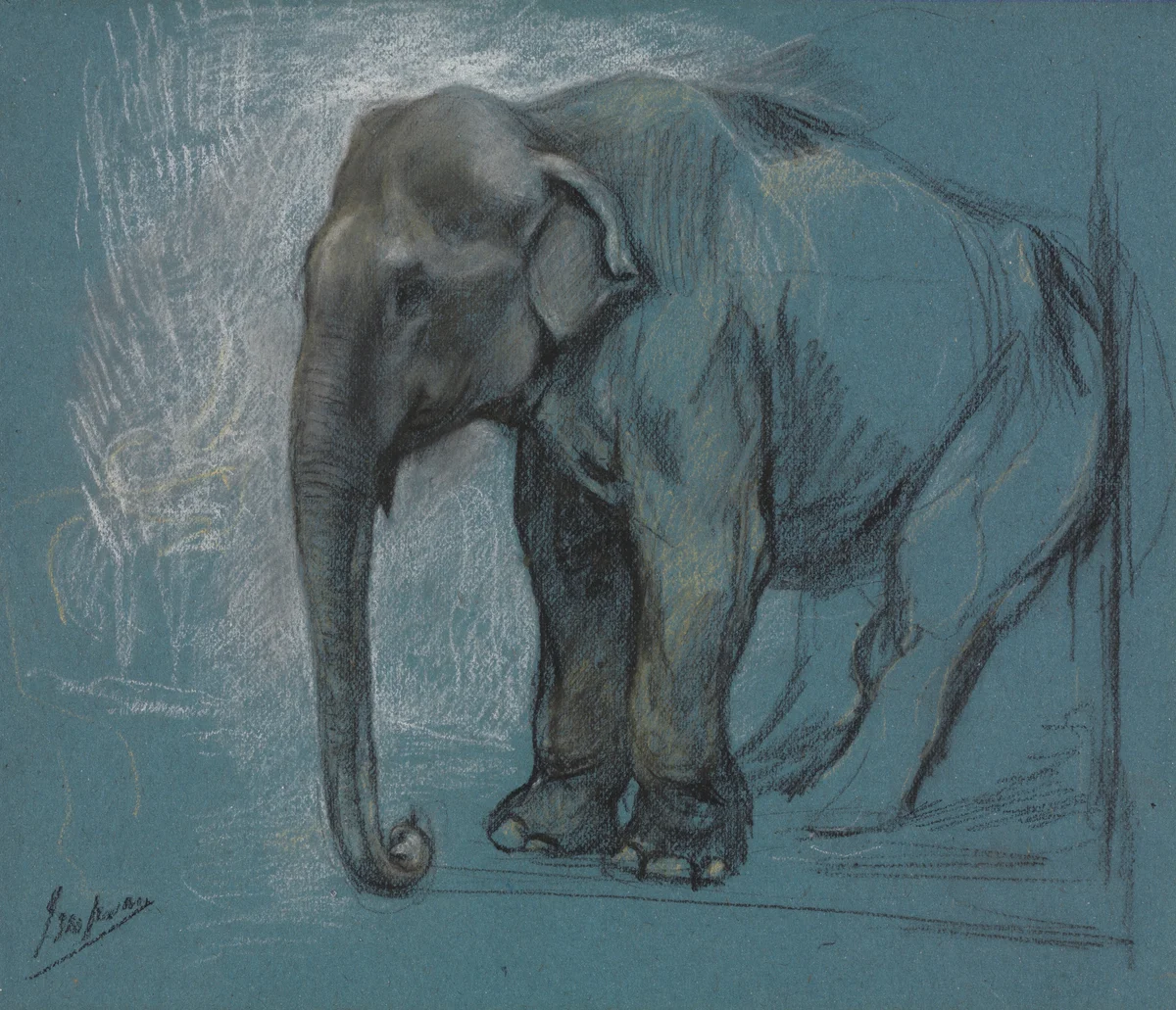 Elephant 2