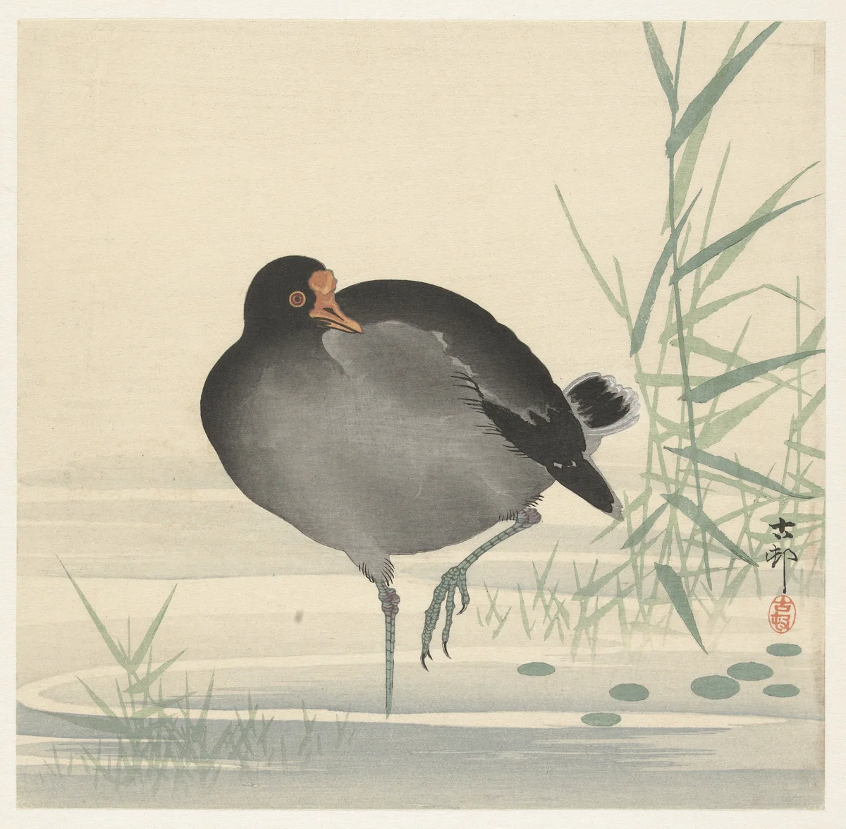 Geese 2