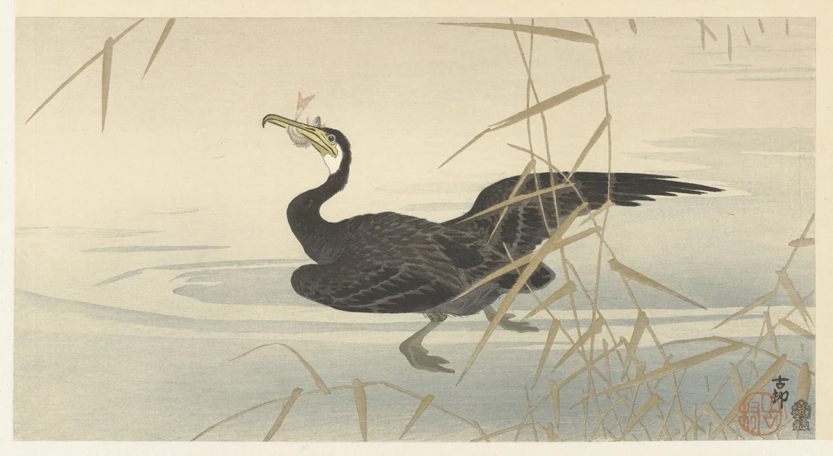 Geese 3