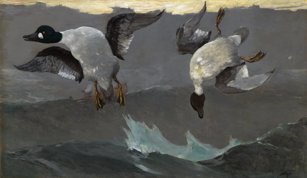 Geese 1 3