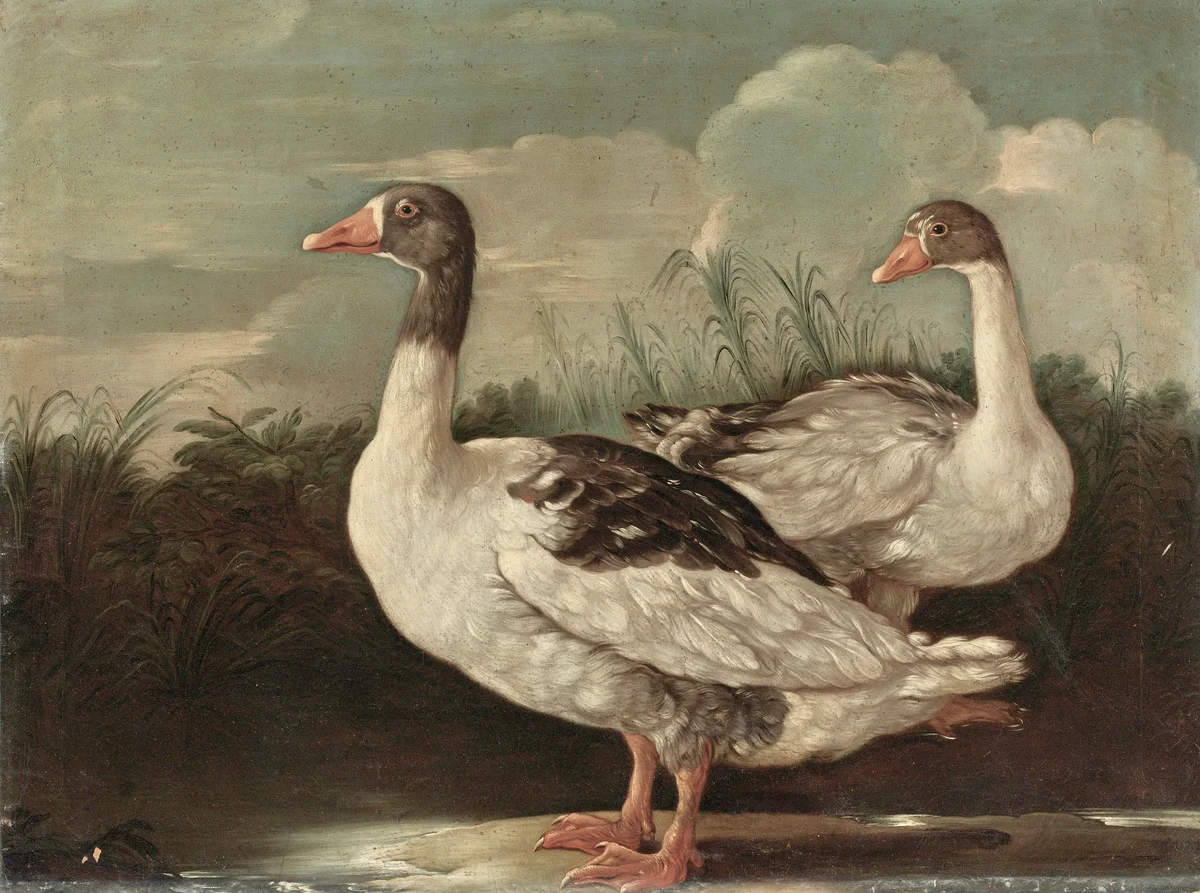 Geese 3 1