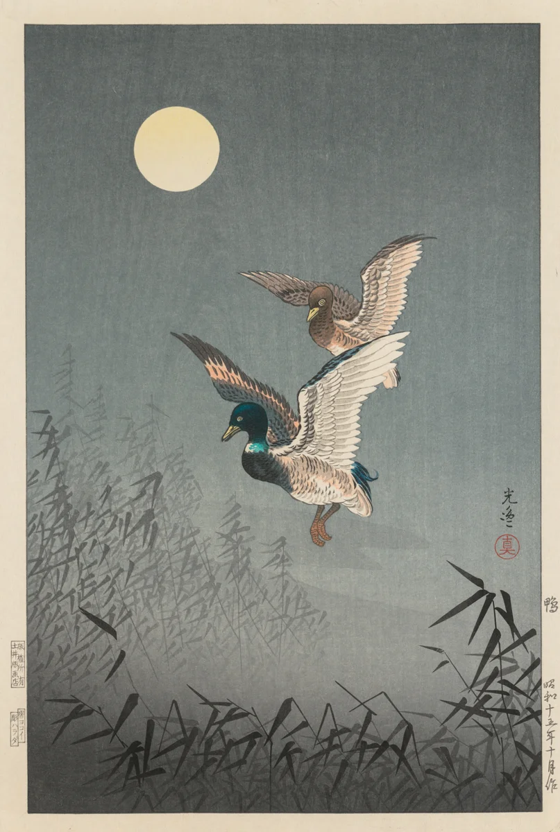 Geese 3 3