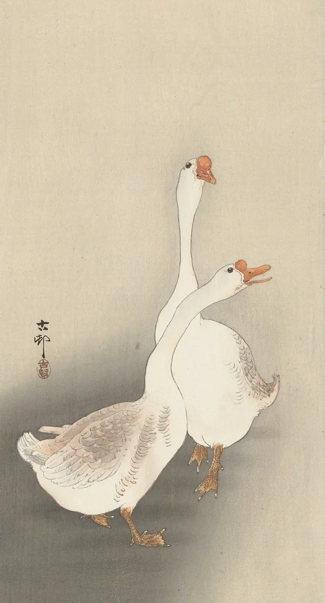 Geese 3 4