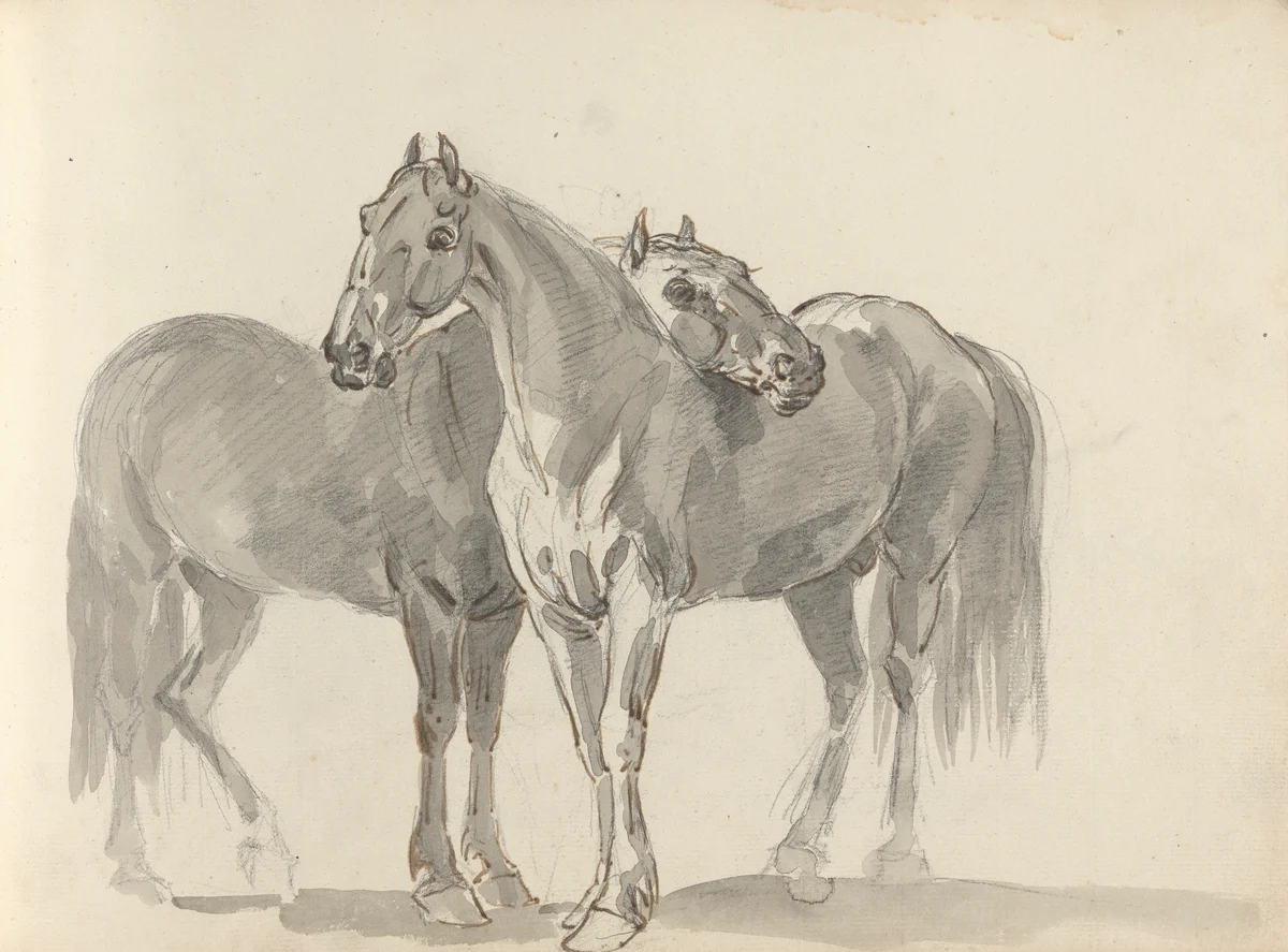 Horses 117 1