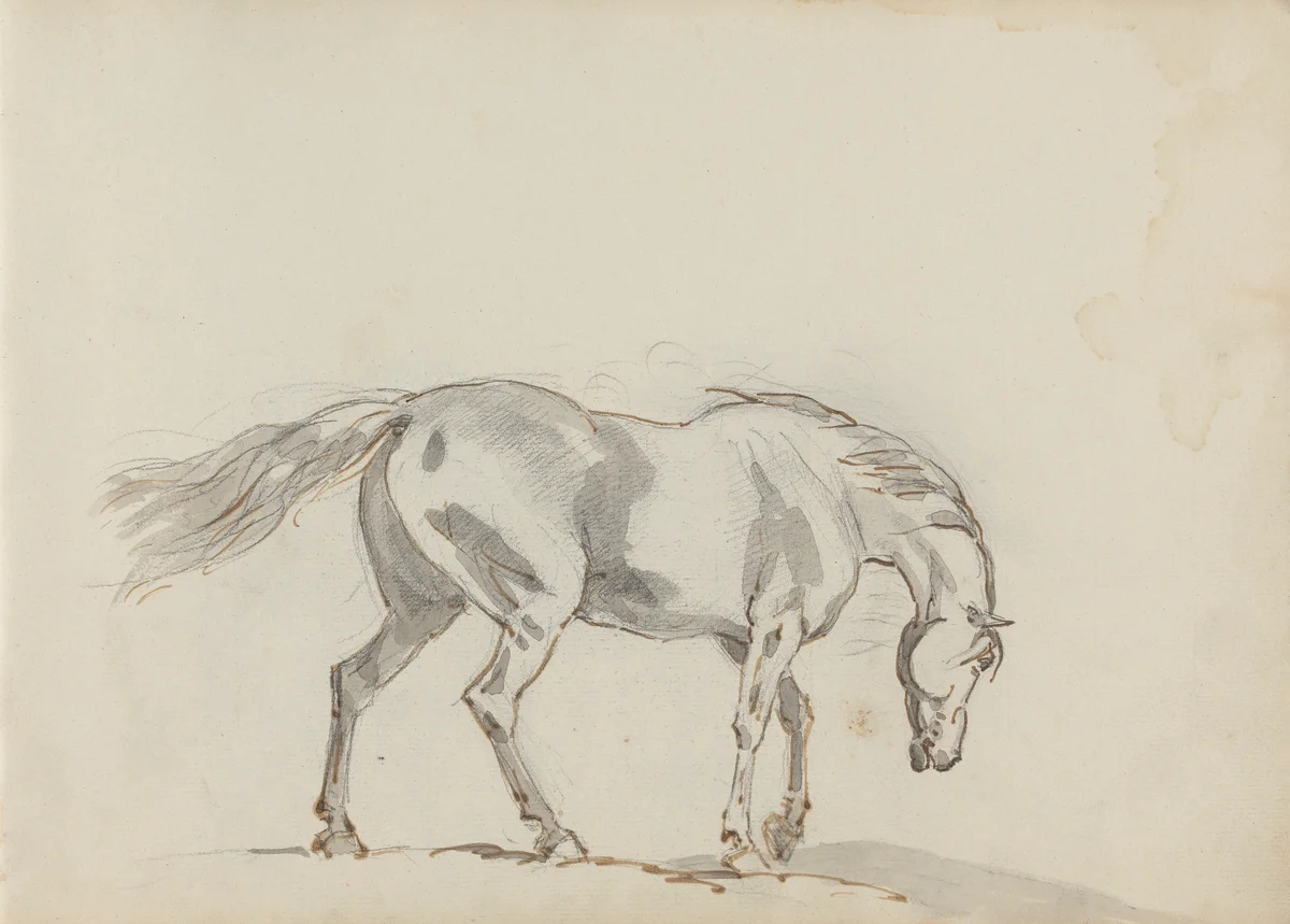 Horses 117 2