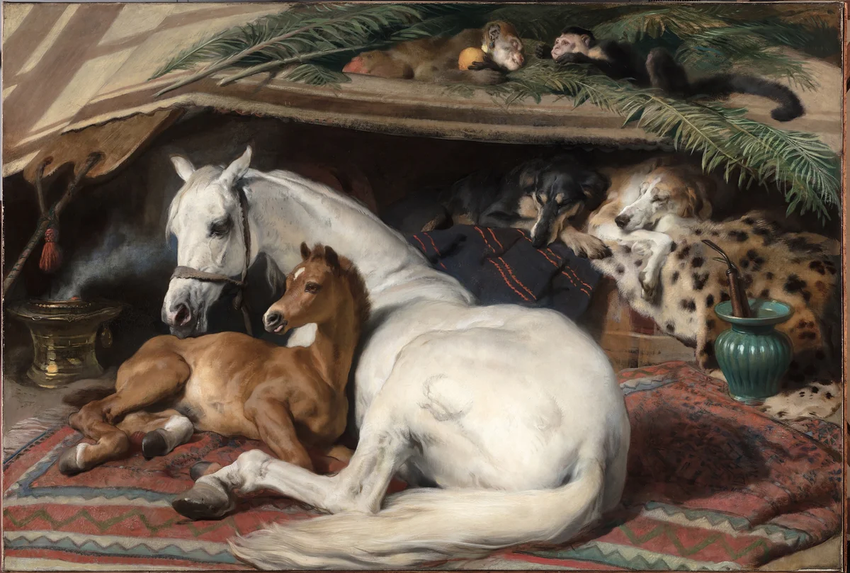 Horses 117 4