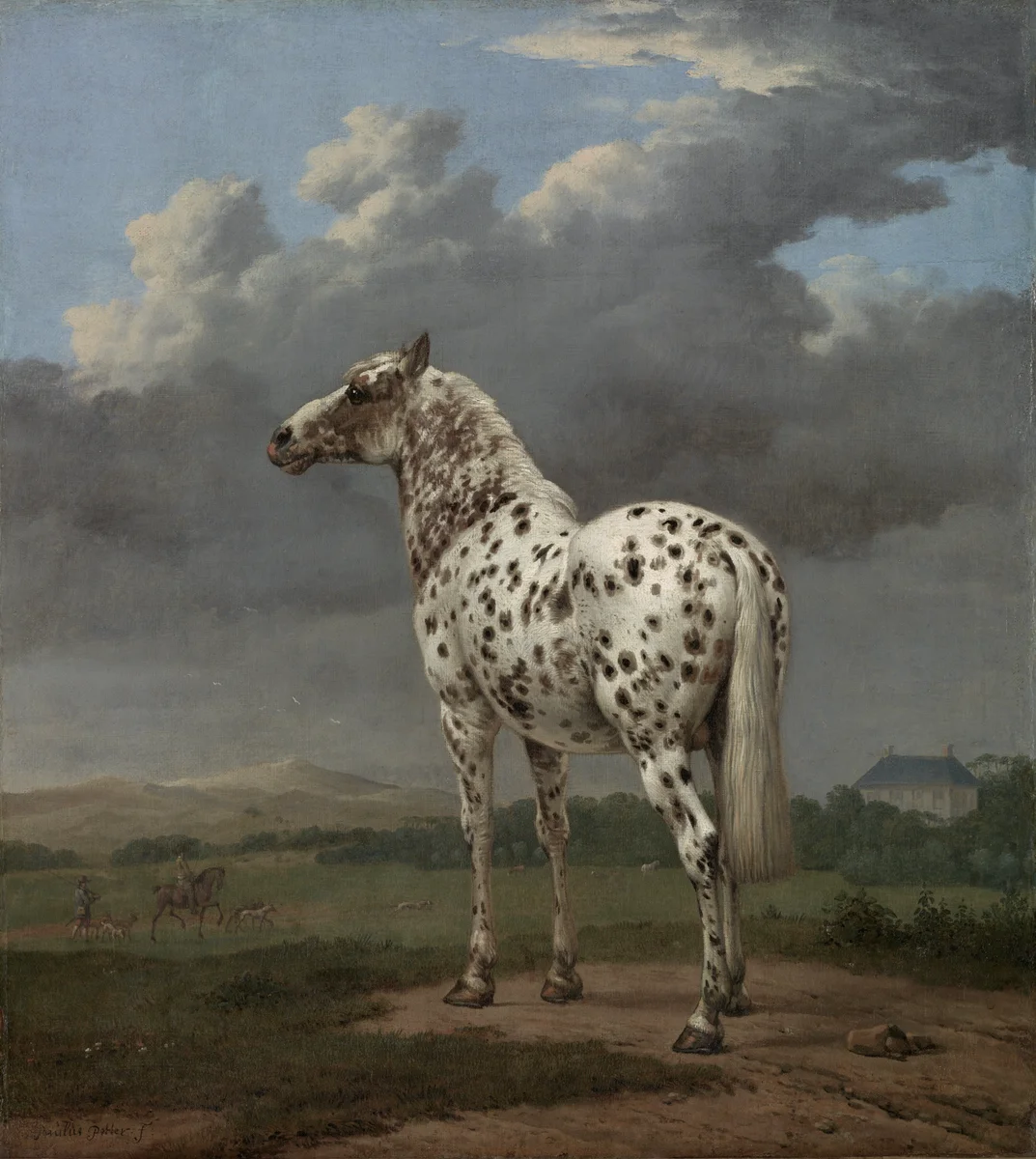 Horses 3 4