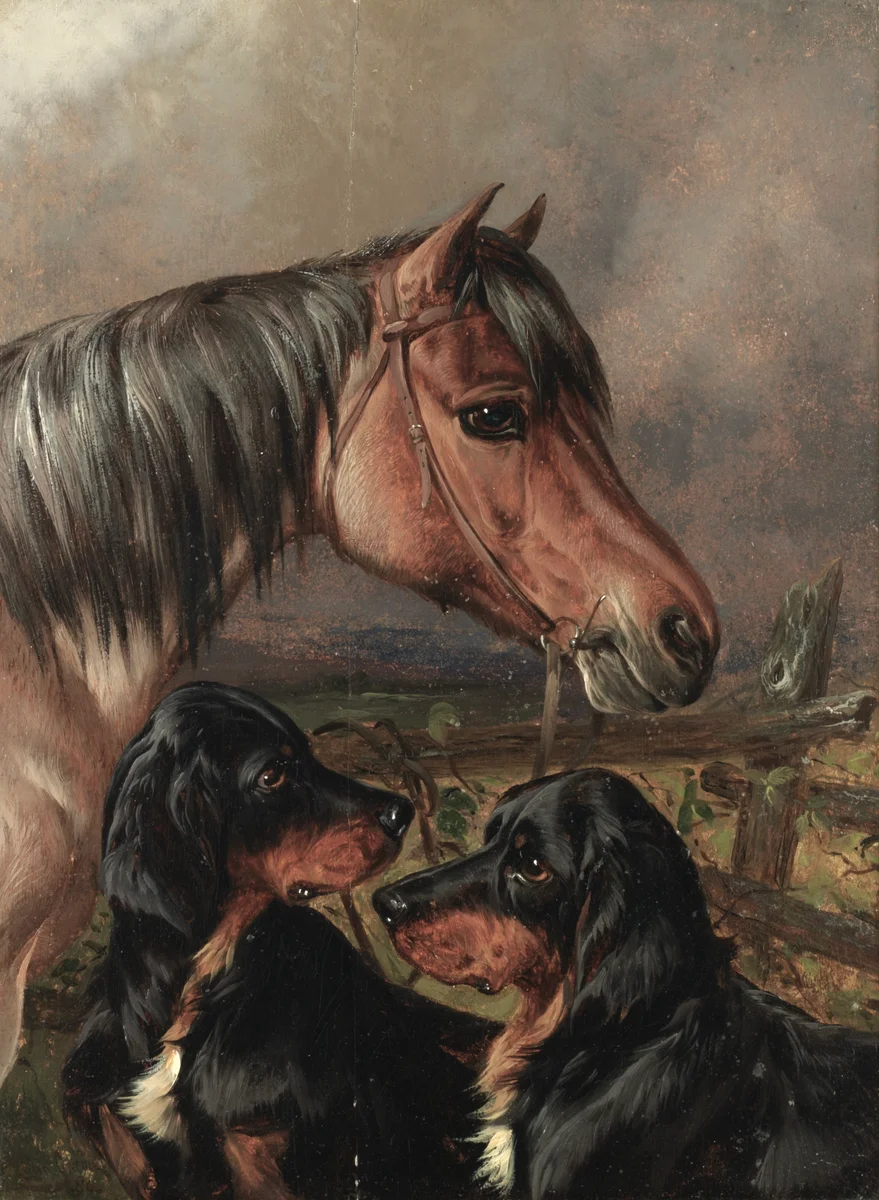 Horses 10