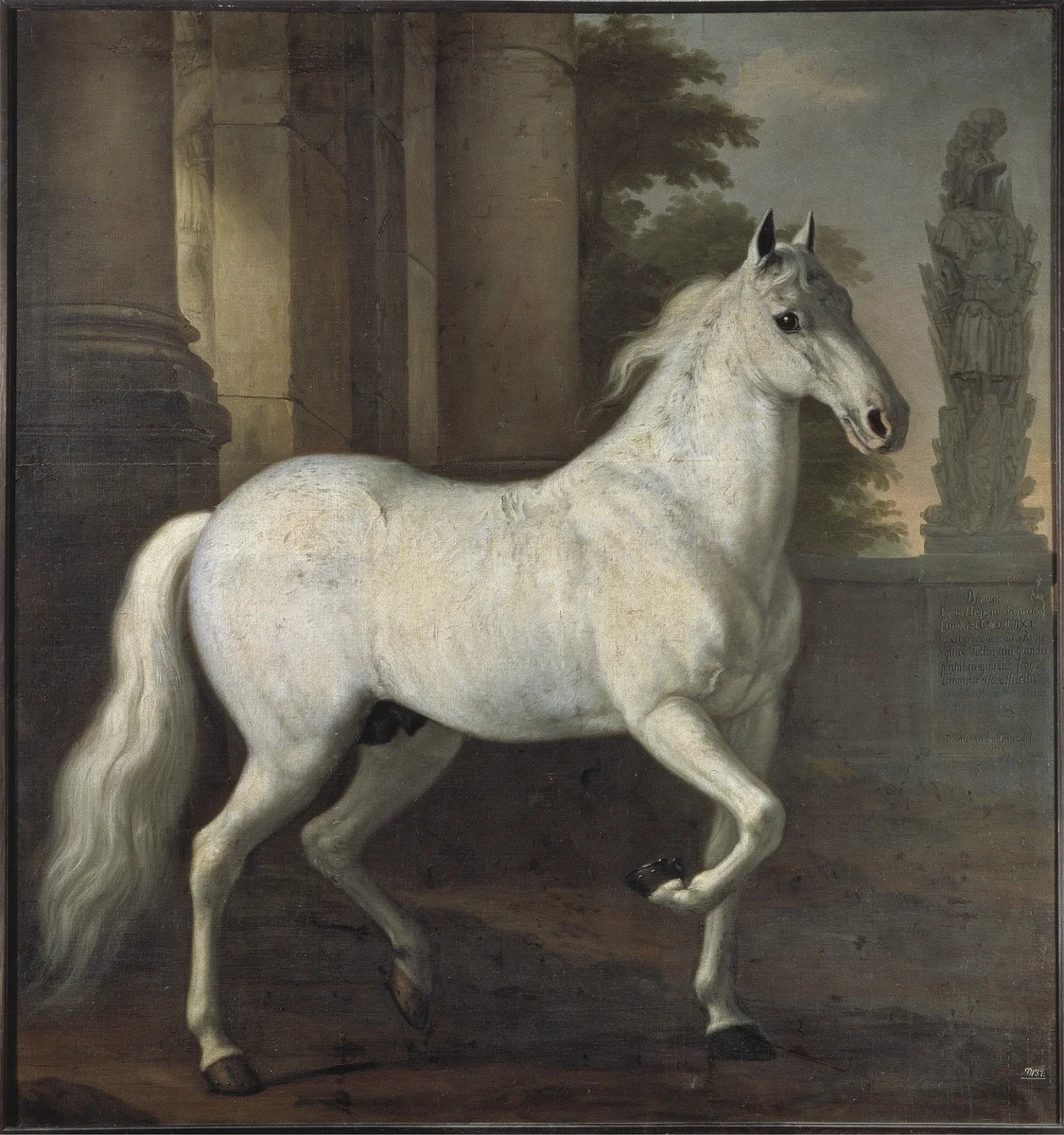 Horses 13