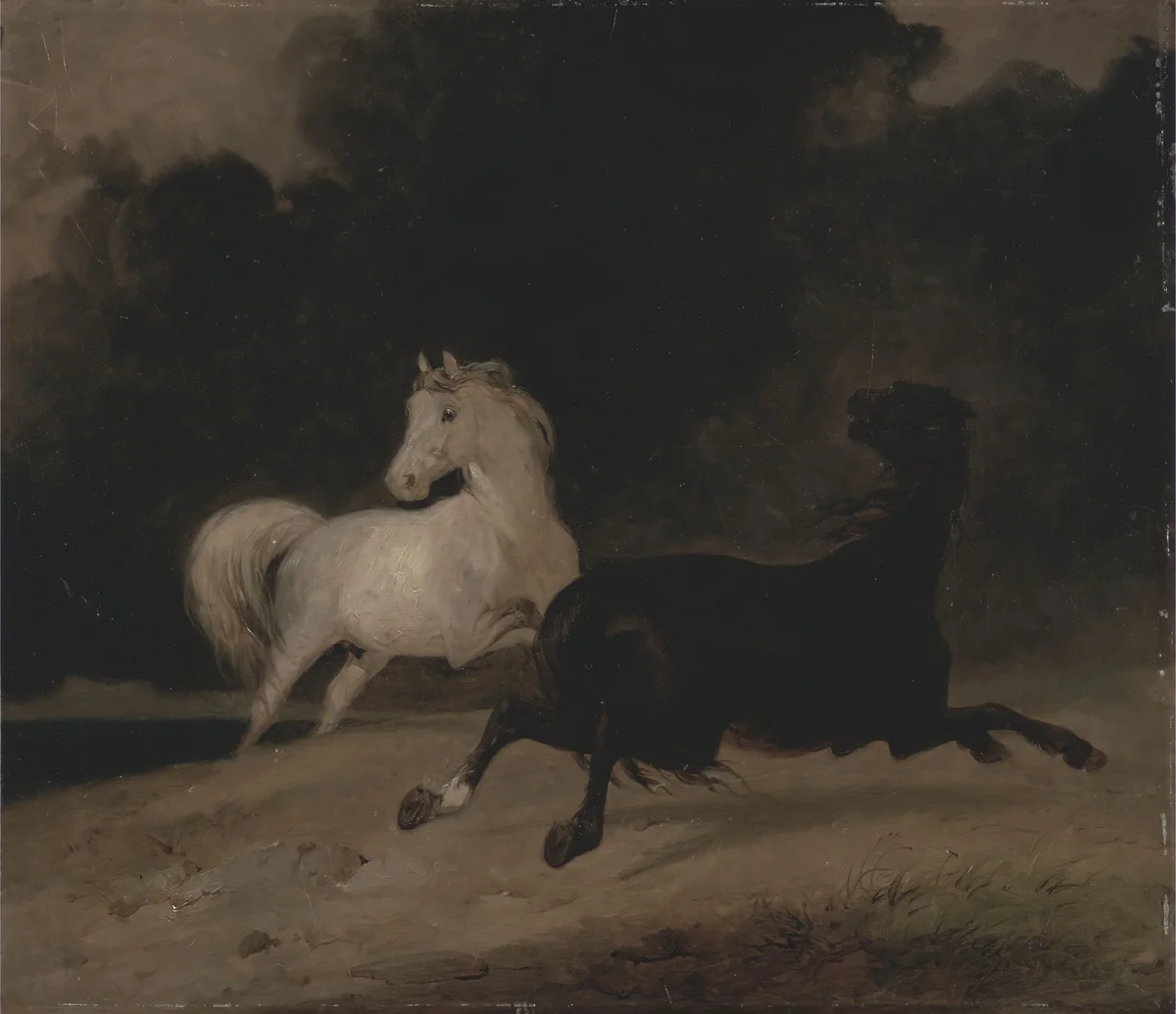 Horses 2