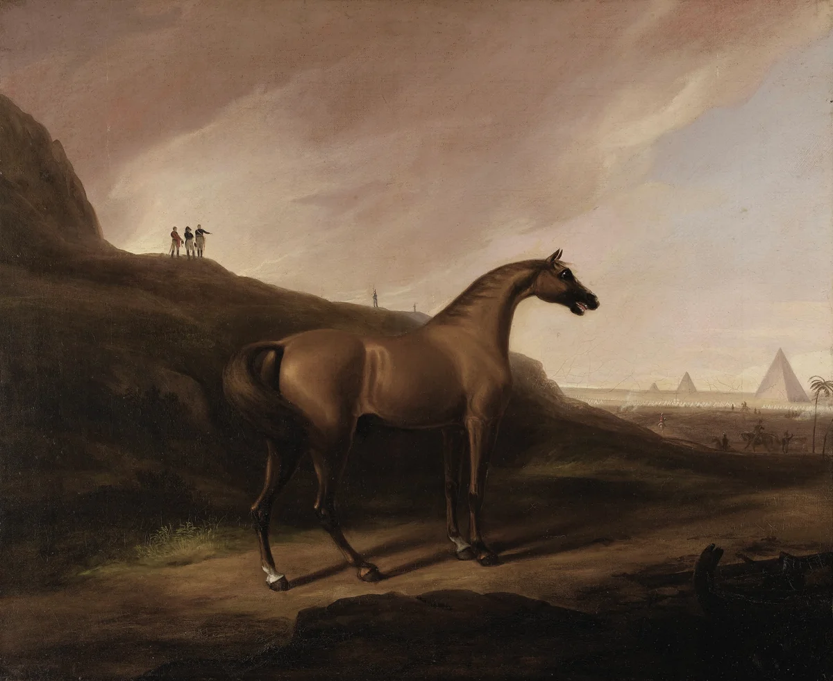 Horses 3