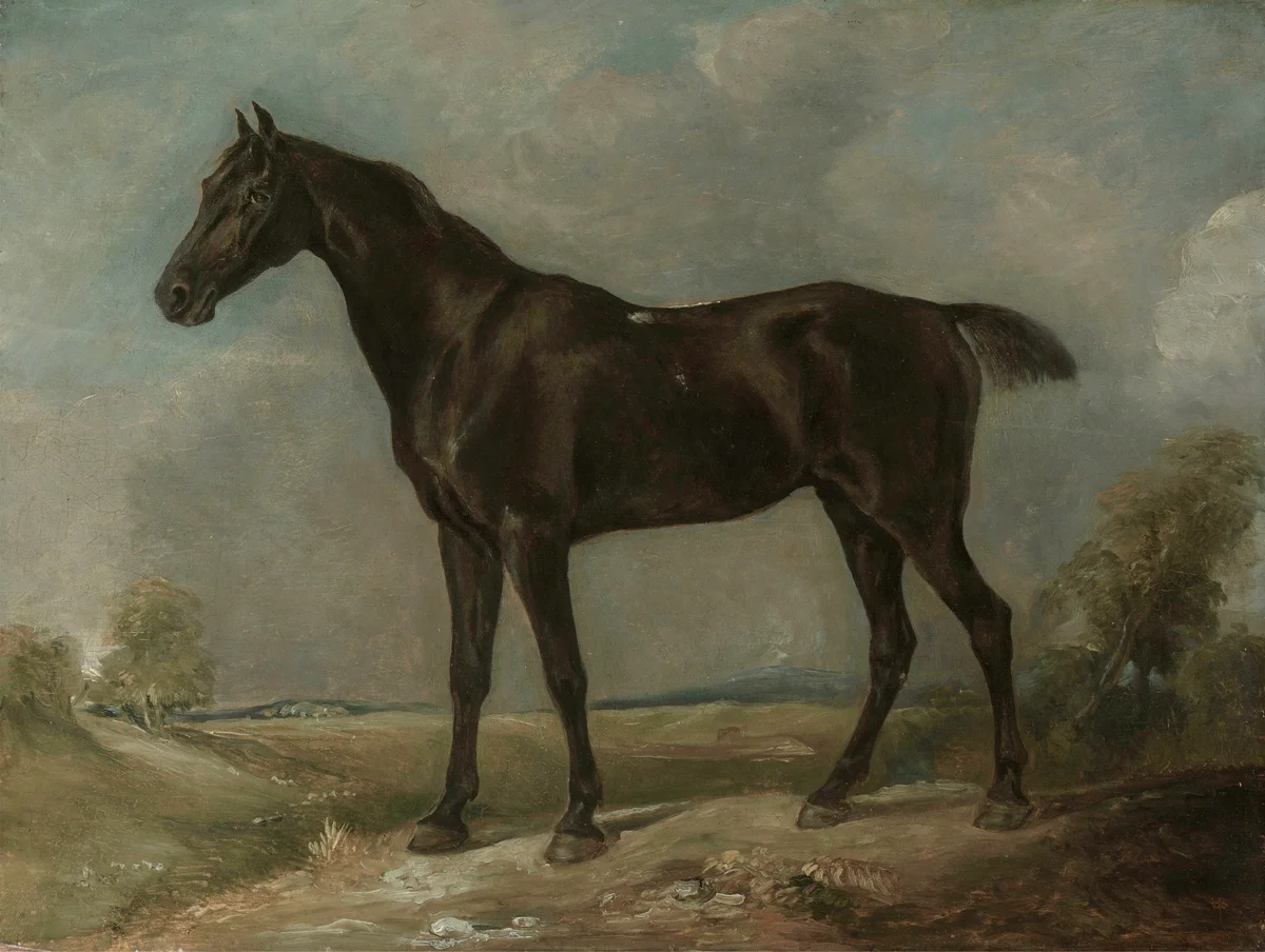 Horses 4