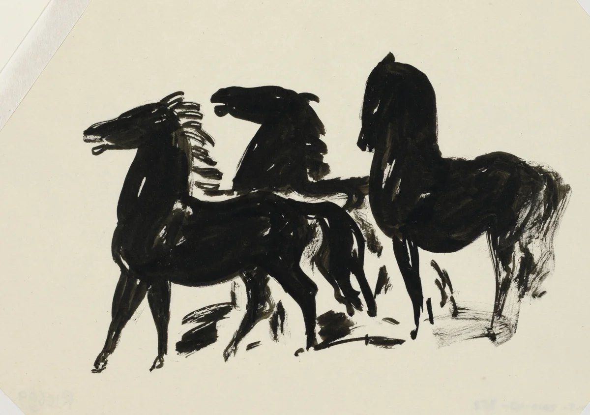 Horses 5