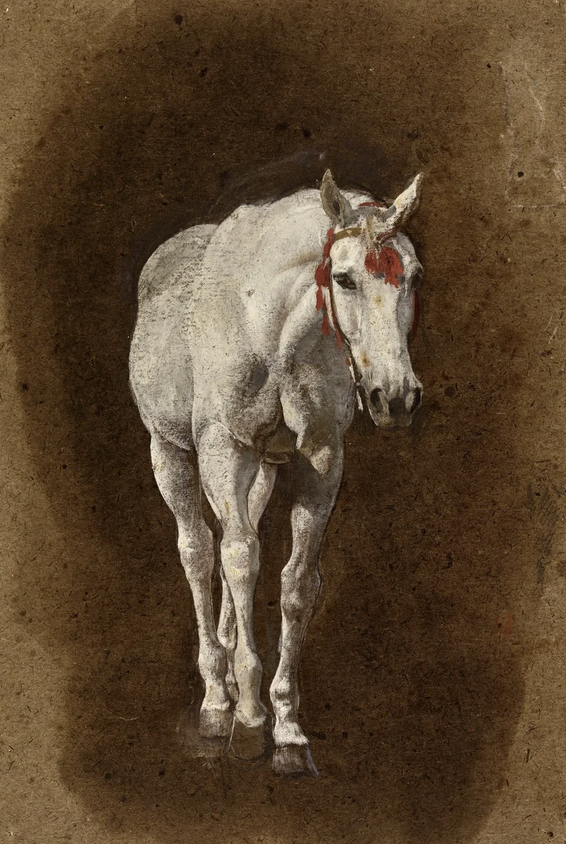 Horses 7