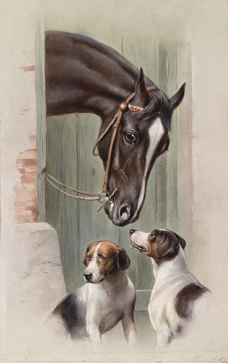 Horses 8