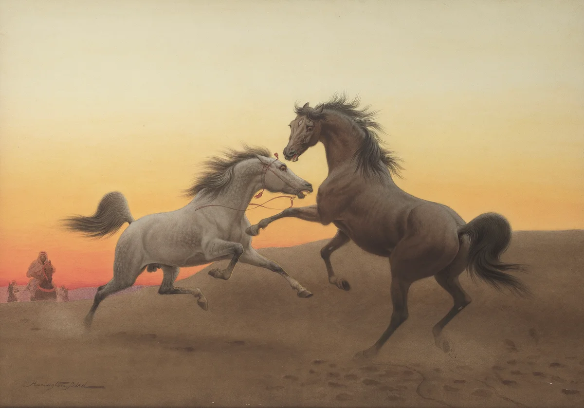 Horses 9