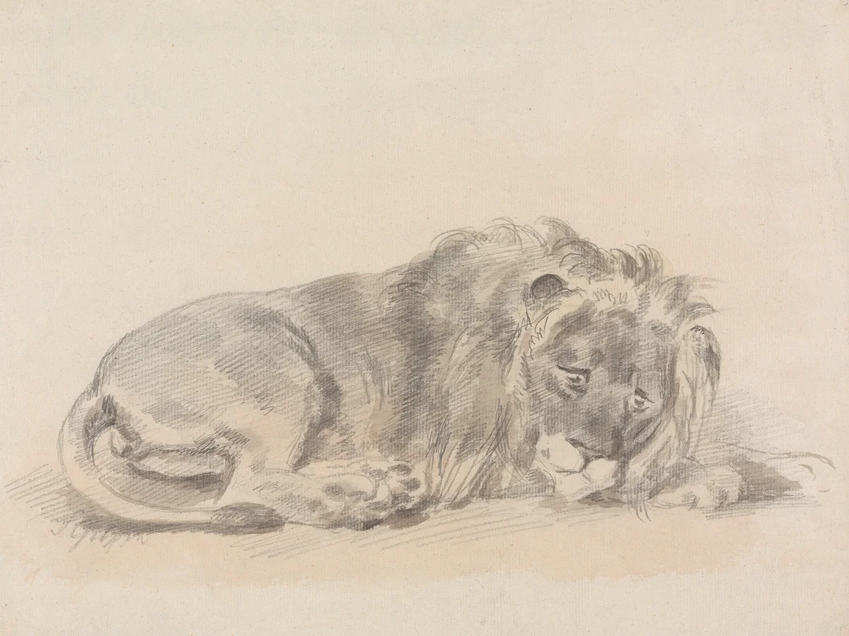 Lion 110