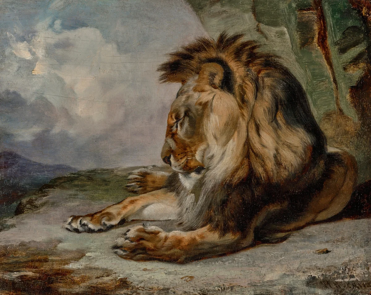 Lion 2
